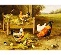 TNXEV Poulet Poule Animal Diamant Peinture 5D DIY Kits De Point De Croix Kit Dessin Peinture pour La Décoration Murale De La Maison Cristal Point De Croix 30x40cm