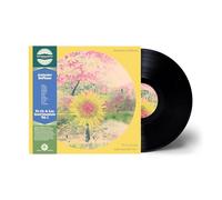 Alabaster Deplume – To Cy & Lee: Instrumentals 1 – Vinyle – Édition IA11