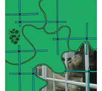 To Make A Fool Ask, And..