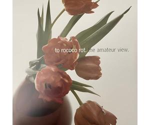 TO ROCOCO ROT - THE AMATEUR VIEW 2025)