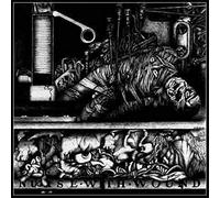 To the Quiet Men from a Tiny Girl