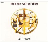Toad the Wet Sprocket - All I Want [Import]