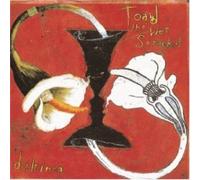 Toad The Wet Sprocket Dulcinea (1994) (CD)