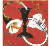 Toad The Wet Sprocket Dulcinea (1994) (CD)