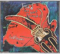 Toad The Wet Sprocket - Fall Down [Import]
