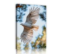 TOANGWALL Art mural en forme d’aigle blanc Impression neutre sur toile Forêt d’oiseaux sauvages Arbre fresque moderne encadrée Affiche de peinture pour décoration de couloir 70x100cm