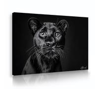 TOANGWALL Art mural en toile de léopard noir Portrait de la jungle Murale Images modernes Estampes d’œuvres Affiches d’animaux Peintures pour la décoration du couloir 70x100cm