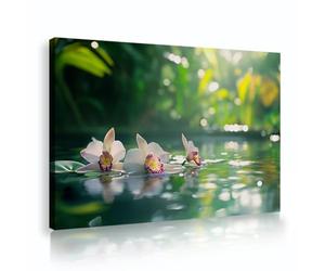 TOANGWALL Toile d’orchidée blanche Gravures murales Décors floraux d’étang Images pour l’étude Chambre d’amis Jardin encadré Affiche nature Fresque Décoration de l’intérieur 80x120cm