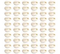 TOAOB 200pcs Shell Perles en Coquillage Beige Charmes Naturel en Cauris Coquilles 12 à 14mm pour Fabrication de Bijoux Bracelet Collier Accessoires Artisanat Loisirs Créatif