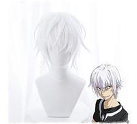Toaru Majutsu pas d'index accélérateur Cosplay perruque pour homme garçons 30 cm courte droite Anime perruque résistant à la chaleur cheveux synthétiques accélérateur blanc