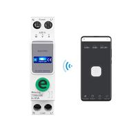 TOB9e-63M 110V 220V Smart Meter Metering Monitoring Circuit Breaker Timer Relay Smart Home 63A IDGTTLDF