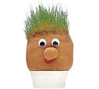 Tobar - 00748 - jeu scientifique - mr grasshead G