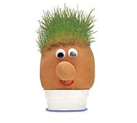 Tobar - 00748 - Monsieur pelouse - Mr Grasshead