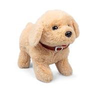 Tobar - Petit Chiot Sauteur