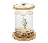 TOBBOMEY 1ensemble Aquarium De Bureau Transparent avec Décor Marin Et Design Moderne pour Espace De Travail Apaisant