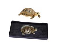 TOBBOMEY Bol Nourriture Reptiles Bol à Tortues Plat Et Lesté pour Manger Boire Et Bain pour Tortues Terrestres