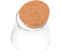 TOBBOMEY Bouteille Écologique en Verre Scellée Petit Bocal en Verre 10x11 Cm Bouchon Liège Micro-Paysage Décoratif pour Maison Salon Chambre Salle de Bain