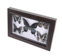 TOBBOMEY Cadre Mural en Bois Robuste avec Échantillon de Lépidoptère A7 Cadre Transparent Protecteur Décoration Intérieure et Art Mural pour Salon Présentation Élégante et Réutilisable
