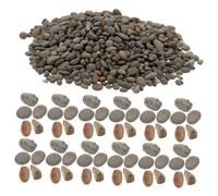 TOBBOMEY Galets Décoratifs Naturels De Rivière 2-5 Mm en Pierre Micro-Paysage, 50 g pour Aquarium Et Décoration Miniature, Mini Rochers De Jardin pour Aménagement De Diorama Et Table Sable