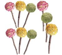 TOBBOMEY Lot de 9 Bâtonnets à Mâcher Naturels pour Lapins Hamsters et Cochons D’Inde - Jouets de Dentition en Herbe Assortiment Fleurs de Rose Calendula et Foin - Jouets à Mâcher pour