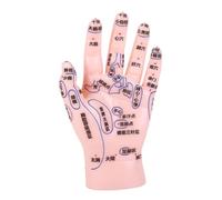 TOBBOMEY Modèle de Main d'Acupuncture Réflexologie Outil Pédagogique pour Massage Points Étiquetés Adapté aux Débutants Pratique en Médecine Traditionnelle Chinoise 1 Pièce