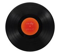 TOBBOMEY Modèle Déco Disque Vinyle Vierge Vintage en Plastique Lisse Ornement Musical Rétro pour Décoration de Bureau et Table Accessoire Esthétique pour Fêtes et Intérieur Rétro