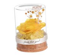 TOBBOMEY Rose Éternelle sous Cloche Verre avec Socle Solide Décoration et Élégante Cadeau Saint Valentin et Fête des Mères Fleur Préservée Chic pour Maison ou Bureau