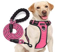 tobeDRI Harnais Oxford réfléchissant pour chien anti-traction réglable et facile à contrôler de taille moyenne et grande avec laisse robuste de 1,5 m (taille L (cou : 45,7 à 64,8 cm, poitrine : 62,2 à