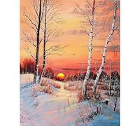 TOCAVE Peindre par Nombre Peinture par numéro Acrylique Toile Peinture Hiver Paysage Peinture numérique Bricolage Artisanat Maison décoration Art 40x50cm