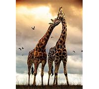 TOCAVE Peindre par Nombre Peinture par numéro Adulte Peinture à l'huile Girafe Bricolage Toile Animaux décoration Maison Art Mural 40x50cm