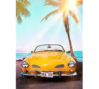 TOCAVE Peindre par Nombre Peinture par numéro Adulte Voiture Bord de mer à la Main colorié Photos numériques paysages décoration Maison Cadeau Mur Art 40x50cm