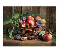 TOCAVE Peindre par Nombre Peinture par numéro Enfants Peinture à l'huile Panier de Fruits Adultes Peints à la Main zéro Base Nature Morte décoration à la Maison 40x50cm