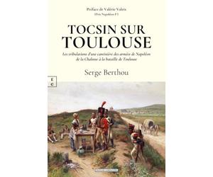 Tocsin sur toulouse : les tribulations d'une cantiniere des armees de napoleon de la chalosse a la b