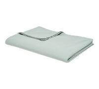 Today - Drap plat - 100% coton BIO - 300 x 240 cm - Vert céladon Vert