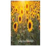 Today I am Grateful For...