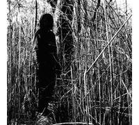 Today, I Wrote Nothing (10 Year Anniversary)