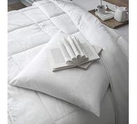 Today Protege Oreillers Absorbant 60/60 A Bouillir, Cotton, Blanc