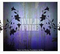 Today the Moon, Tomorrow the Sun - Wildfire
