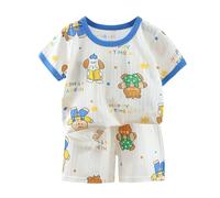 Toddler Baby Boys Summer Clothes 2 Piece Outfit Cotton Short Sleeve T-Shirt Tops and Shorts Set Kids Cute Clothing Set Boy Casual Play Clothes Sets (Blue, 4-5 Years) c35s