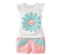 Toddler Baby Girls Summer Clothes Outfits Infant Short Sleeve T-Shirt Tops & Shorts Sets Casual 2 Piece Clothing Set Children Clothing Sets for Boys and Girls (Pink, 6-12 Months) c57s