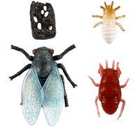 Toddmomy 1 Ensemble Figurines de Cicada Simulation Éducatif Modèles pour Comprendre Cycle de Vie des Insectes pour Apprentissage et Remplissage de Sacs de Fête