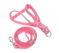 Toddmomy 1 Ensemble Set de Harnais pour Chien avec Laisse et Collier Accessoires de Promenade Ajustable et de pour Confort Optimal Extérieur