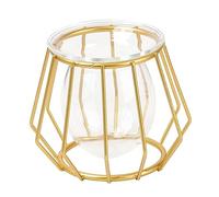 Toddmomy 1 Pièce Vase Géométrique Hydroponique Moderne Conteneur de Plantes Décoratif pour Esthétique Intérieure