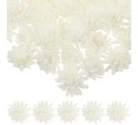 Toddmomy 100 Pièces Diffuseur D'huile Essentielle de Fleur, Accessoires Décoratifs en PE Blanc pour Diffuseurs D'huiles Essentielles, Design Simple et Pratique Maison