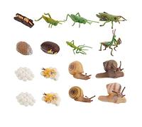 Toddmomy 16 Pièces Modèle Animale Éducatif Maternelle pour Cognition Scientifique Couleurs Aléatoires Simulation Cycle Développement Couleur Aléatoire