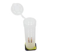 Toddmomy 1ensemble Cage Élevage pour Abeilles Plastique Outil Apicole pour Transport Et Isolement des Reines