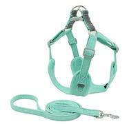 Toddmomy 1ensemble De Chien Pratique Et Léger avec Laisse Accessoire pour Chiens De Petite Et Anti-évasion De Verte XXS