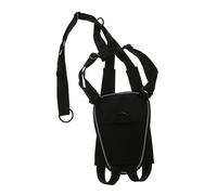Toddmomy 1ensemble Et Laisse pour Chien Traction avec Ceinture De Poitrine Accessoire Léger Et Pratique pour Promenade Extérieur