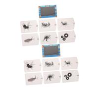 Toddmomy 2 Ensembles Lenticular Animation Toy for Early Education Science Experiment Kit with DIY Optics Illusion Craft Enhances Creativity and Problem-Solving Skills