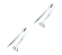 Toddmomy 2 Ensembles Outils de Jardinage Acier Inoxydable Ensemble de Pince à Bonsai et Râteau pour Plantes Outils Pratiques pour Création de Jardin